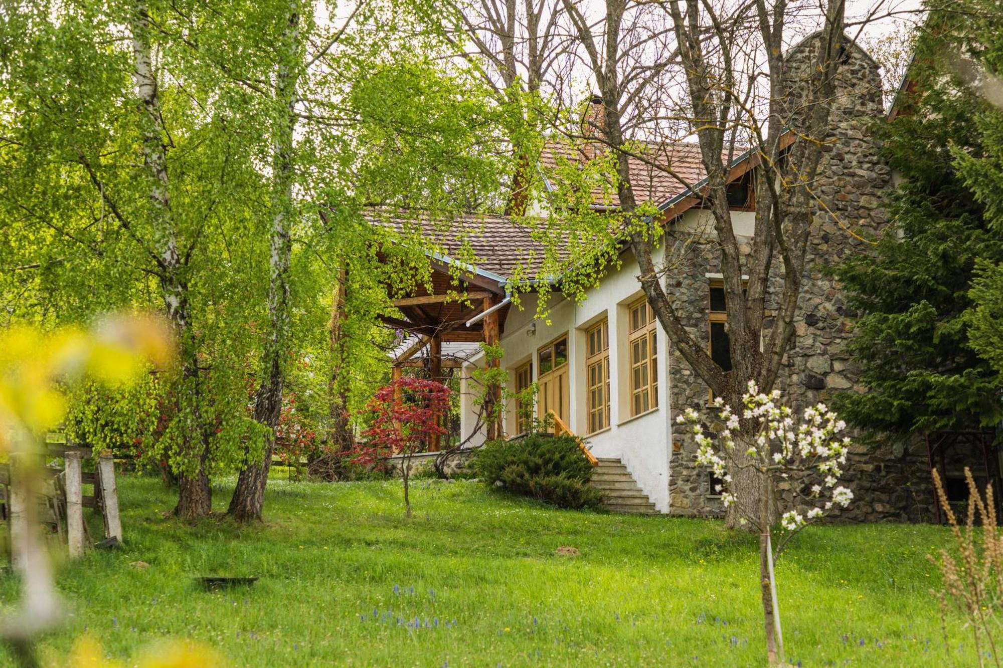 Villa Alba By Akasha Retreat Bran  Eksteriør billede